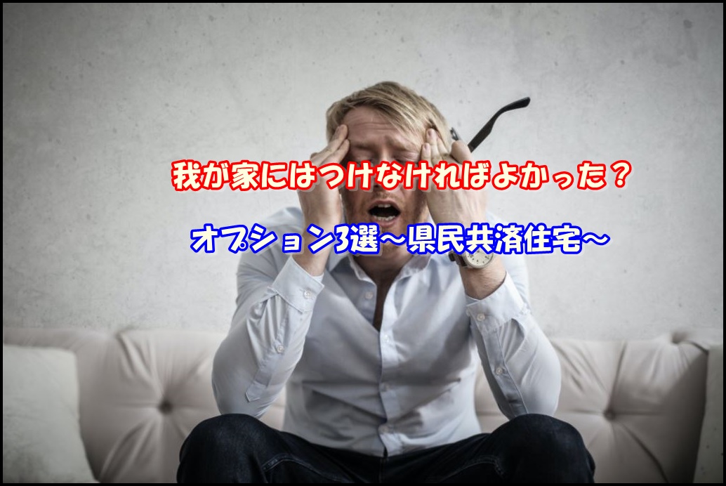 我が家にはつけなければよかった オプション3選 県民共済住宅 県民共済でコスパの良い満足する家を建てる