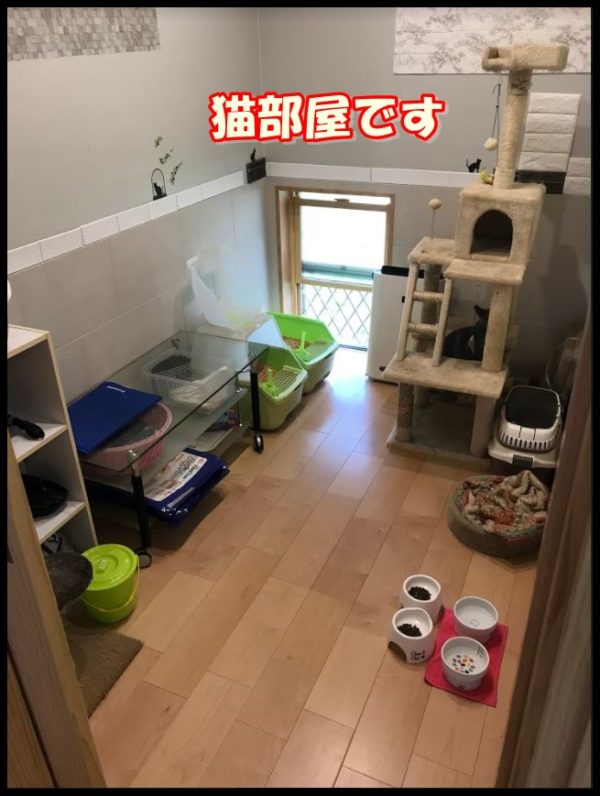 うちの猫部屋を紹介します 県民共済住宅で作る猫部屋 県民共済でコスパの良い満足する家を建てる